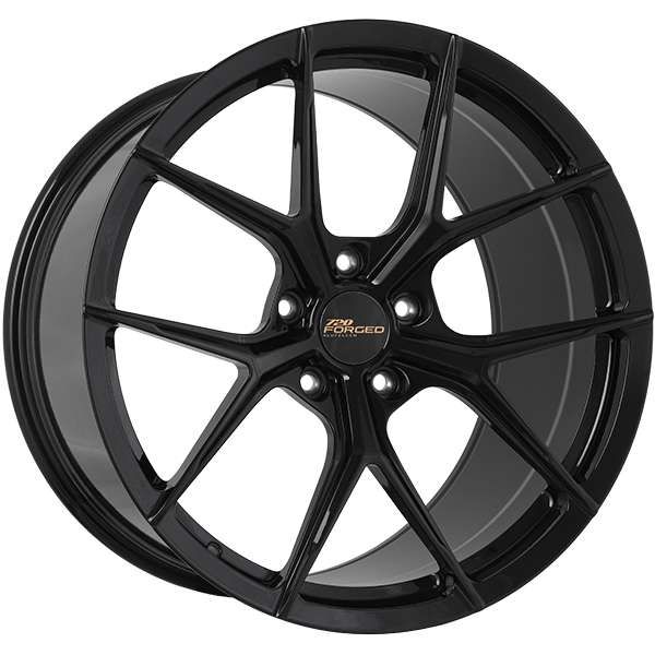 FORM FX1