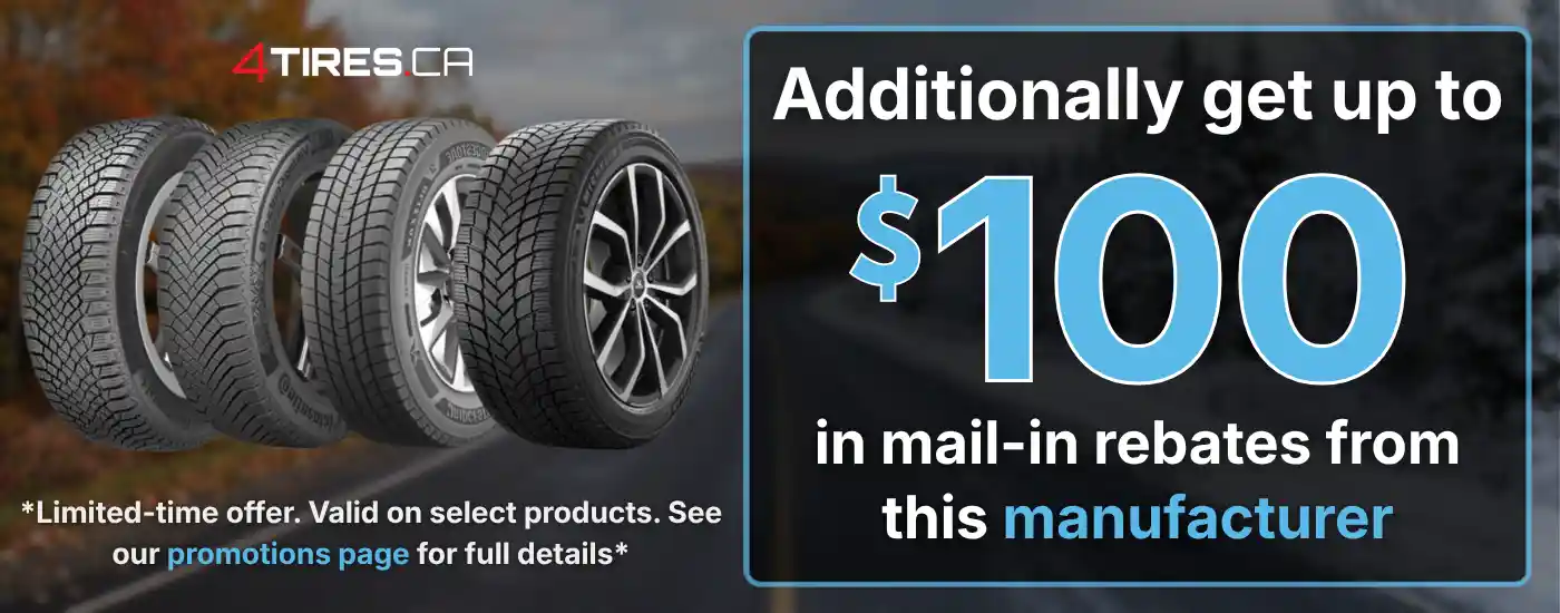 Continental winter mail-in rebate of $100