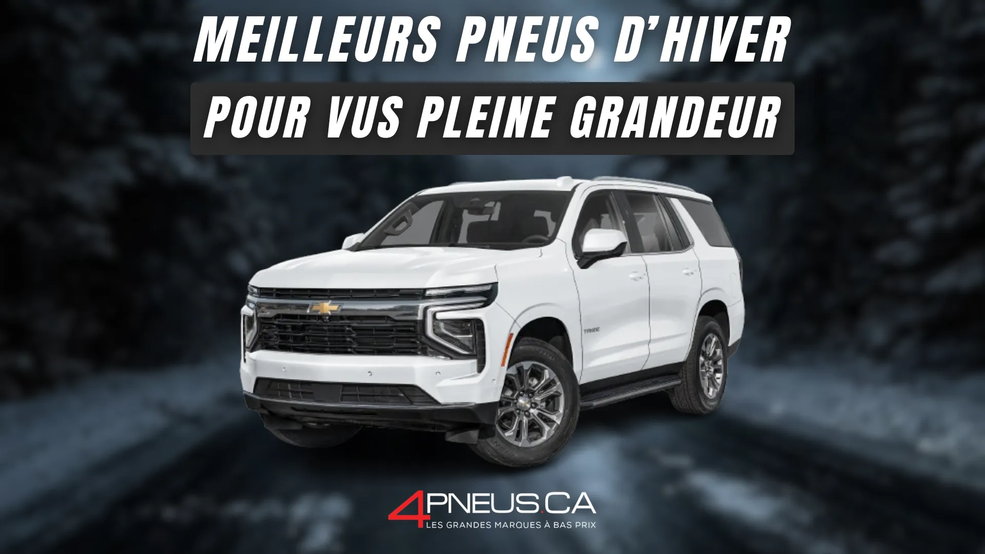 Pneus hiver VUS pleine grandeur