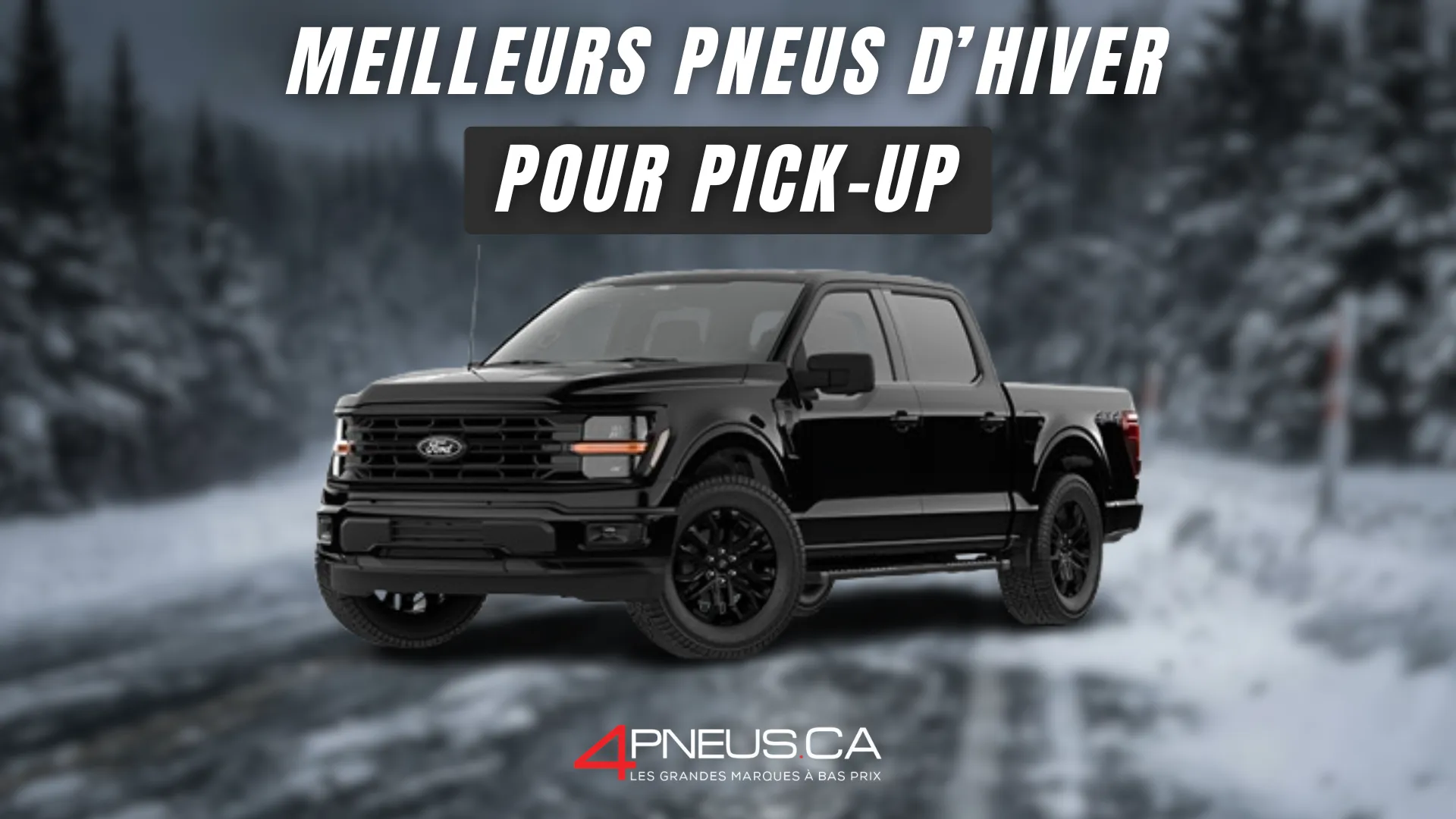 Pneus hiver pick-up