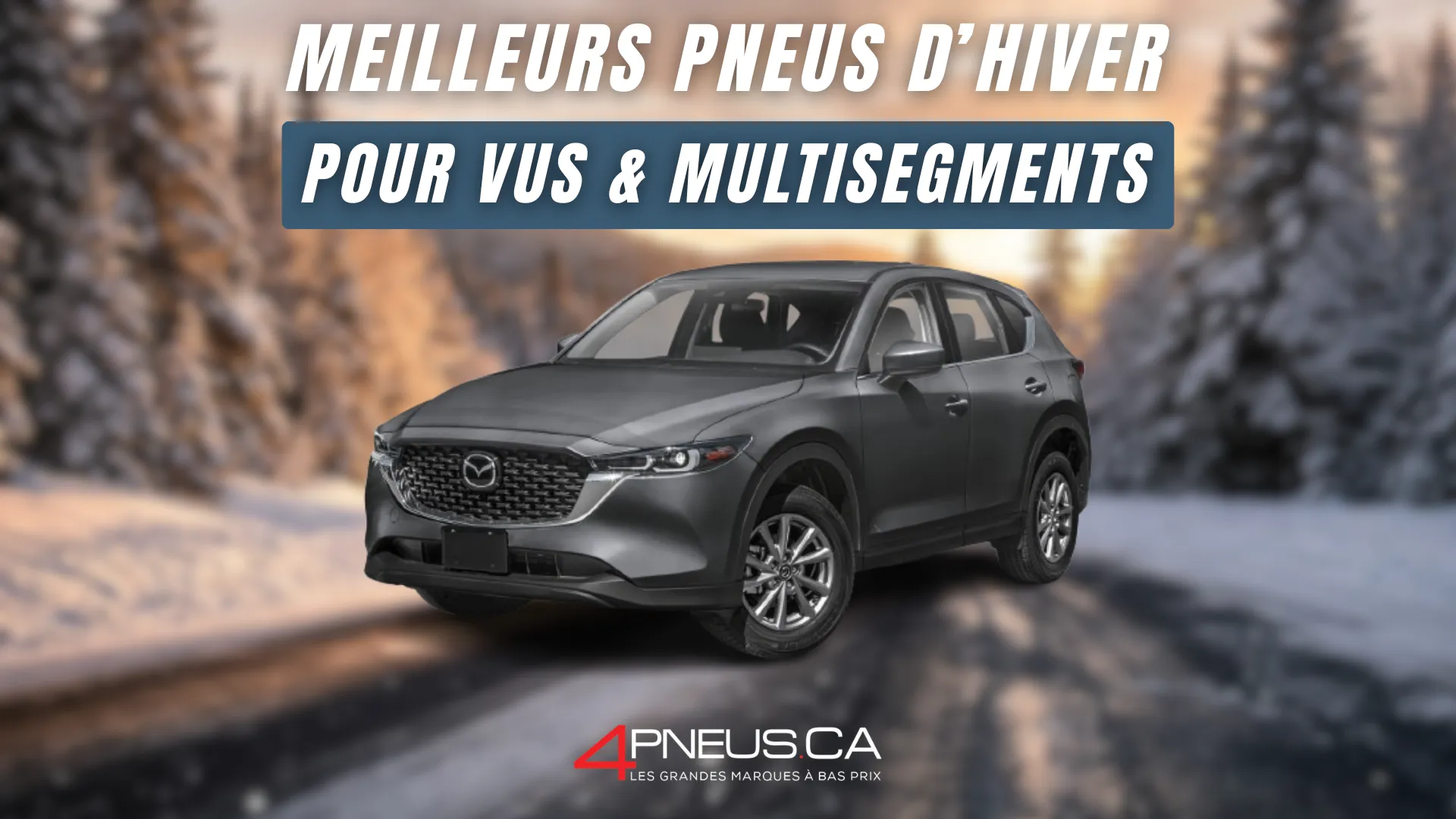 Pneus hiver VUS multisegments