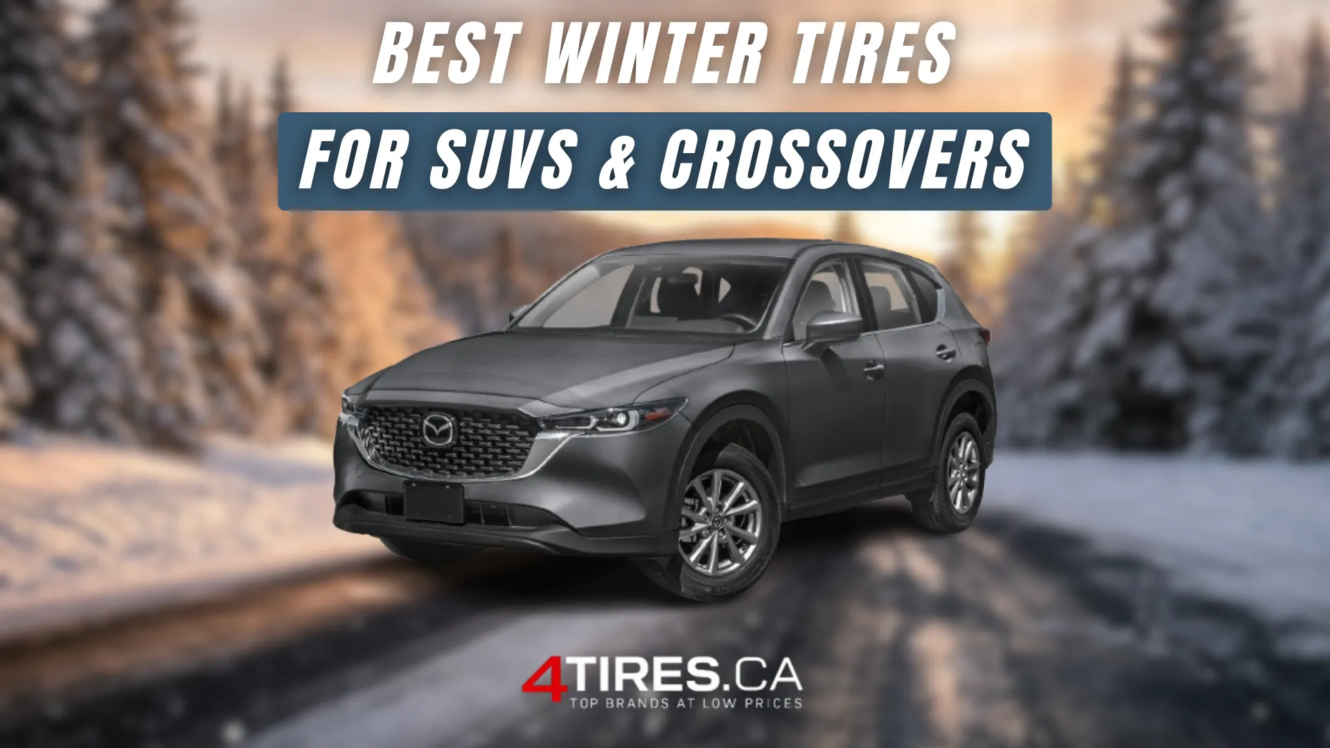 SUV crossover winter tires